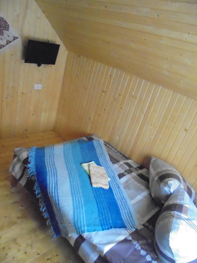 Willa Lisovychok Worochta Zewnętrze zdjęcie